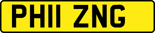 PH11ZNG