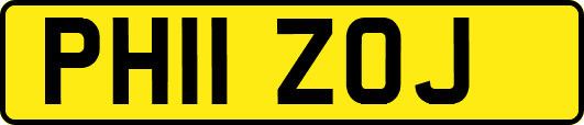 PH11ZOJ