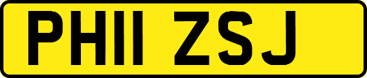 PH11ZSJ