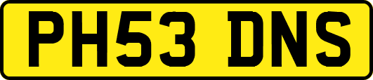 PH53DNS