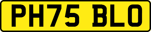 PH75BLO