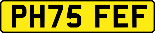 PH75FEF