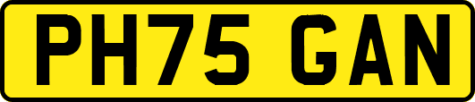 PH75GAN