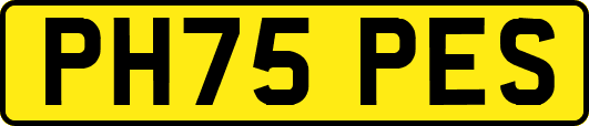 PH75PES