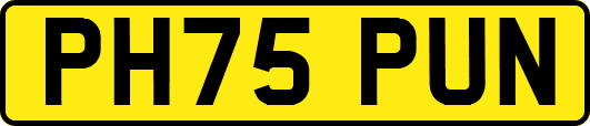 PH75PUN