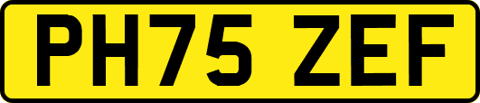 PH75ZEF