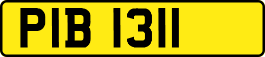 PIB1311