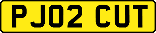 PJ02CUT