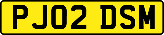 PJ02DSM