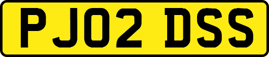 PJ02DSS