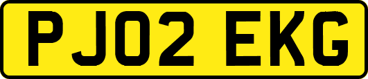 PJ02EKG