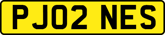 PJ02NES