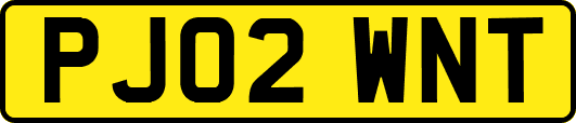 PJ02WNT