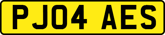 PJ04AES
