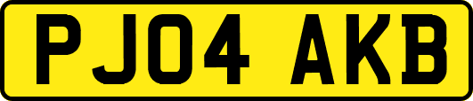 PJ04AKB