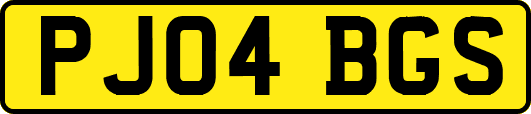 PJ04BGS