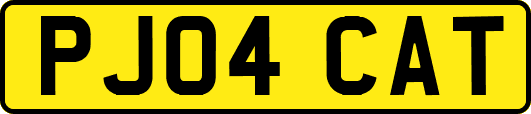 PJ04CAT