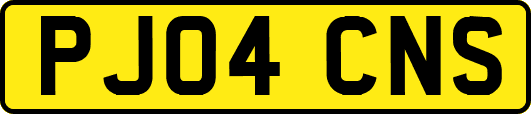 PJ04CNS