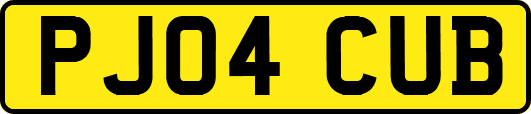 PJ04CUB