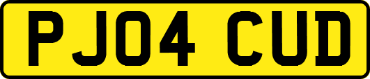 PJ04CUD
