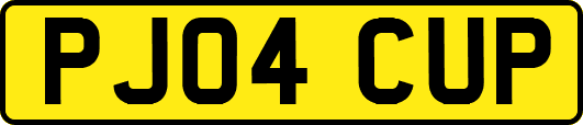PJ04CUP
