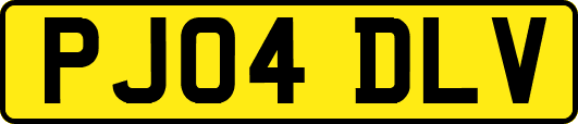 PJ04DLV