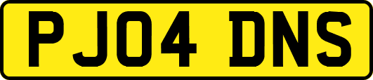 PJ04DNS