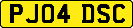 PJ04DSC