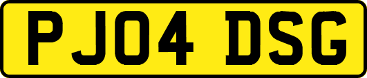 PJ04DSG