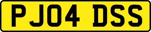PJ04DSS