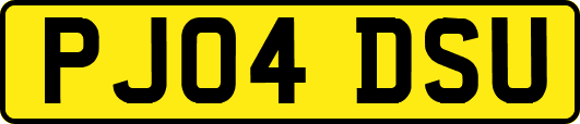 PJ04DSU
