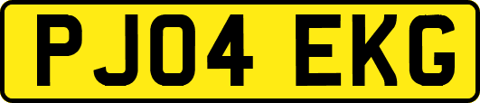 PJ04EKG
