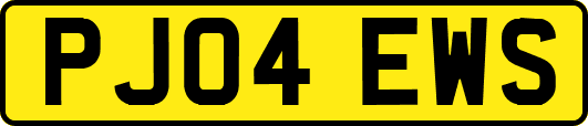 PJ04EWS