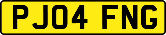 PJ04FNG