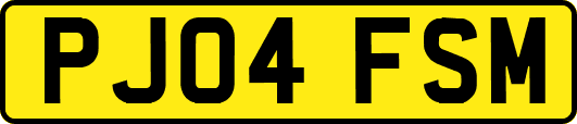 PJ04FSM