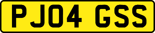 PJ04GSS