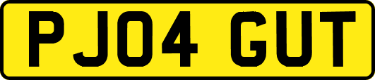 PJ04GUT