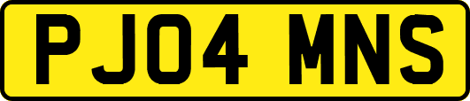 PJ04MNS
