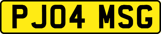 PJ04MSG