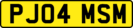 PJ04MSM