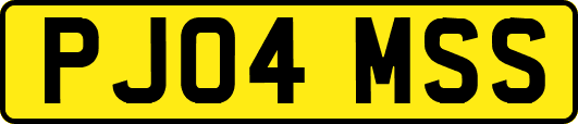 PJ04MSS