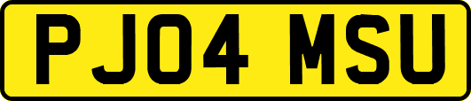 PJ04MSU