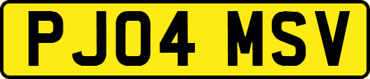 PJ04MSV
