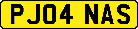 PJ04NAS