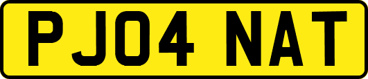 PJ04NAT
