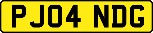PJ04NDG