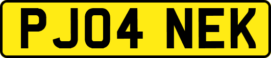 PJ04NEK
