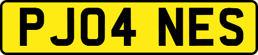 PJ04NES