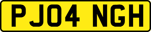 PJ04NGH