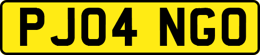 PJ04NGO